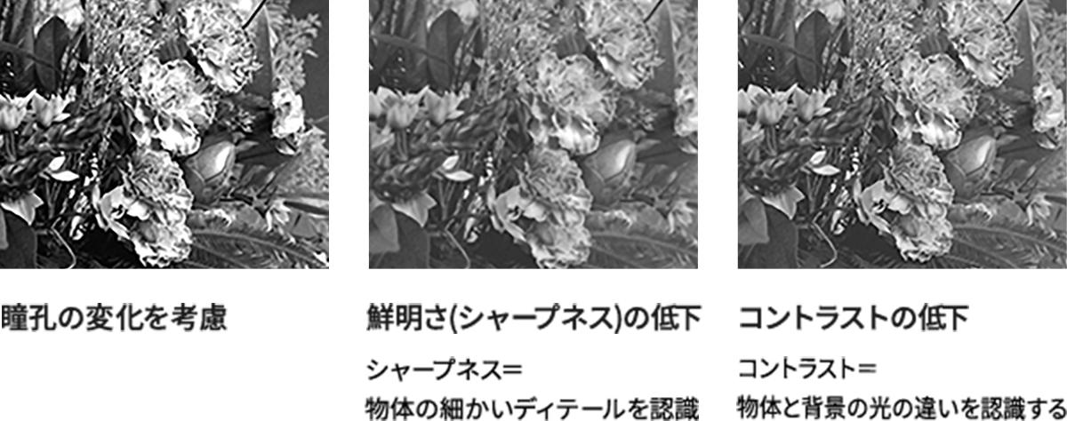 視界がぼやけたり、見えにくくなっている状態のイメージ